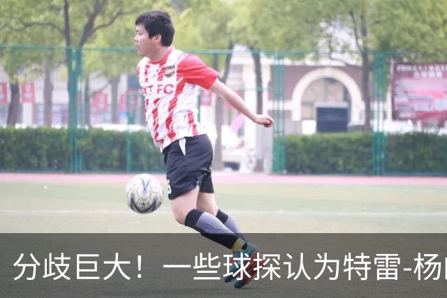 分歧巨大！一些球探认为特雷-杨的存在阻碍了状元郎在奇才的发展
