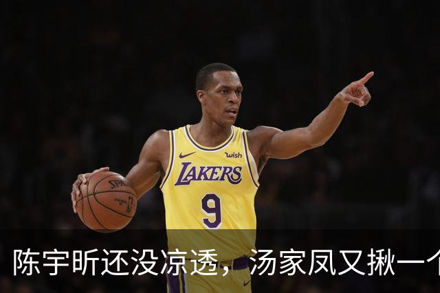 陈宇昕还没凉透，汤家凤又揪一个“精日”人员：竟然还是公司老板